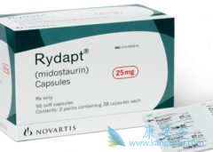 �׵���˹/���������ڼ�����ϵ��Ѫ�������е�����