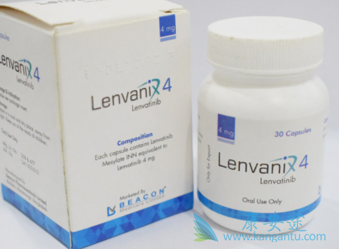 �ط�����