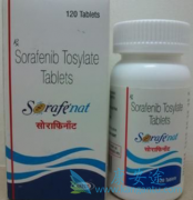 ��������(Sorafenib)����TACE���Ƹ�ϸ������Ԥ��