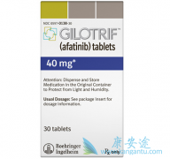 ��������afatinib����Я������EGFRͻ���NSCLC��������Ч