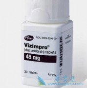 ������/���������HER2ͻ����������������е�����