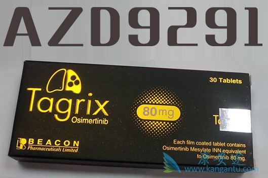 ��ϣ����9291