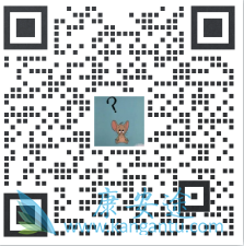 ����������,Sotorasib