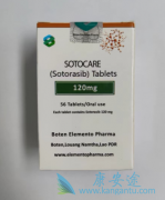 ����������Sotorasib��NSCLC�����г�������
