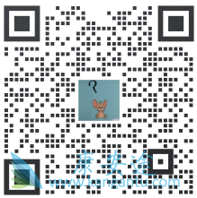 ����������,Sotorasib