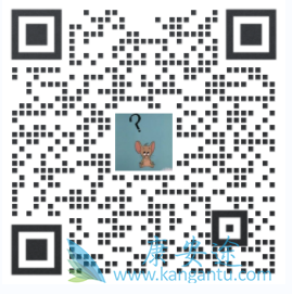 ����������,Sotorasib