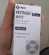 ΰ֮һѡPD-1ƼKeytruda