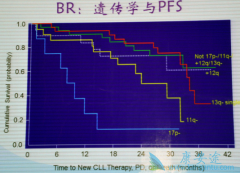 Ϊ�����ܰ�ϸ����Ѫ��(CLL)��ҩǰ�����