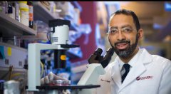 ���������Ʒ����������Ƶ��ȵ�