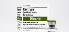FDA������֤PD-1���Ƽ�Keytruda����pemetrexed���Ʒΰ�
