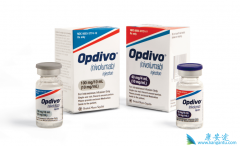 ���pd-1����۸� ����pd-1Ŀǰ����ʲô�׶Σ�