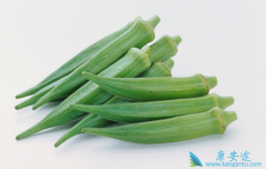 ����Ƿ��ǣ������о�����Ѫ��