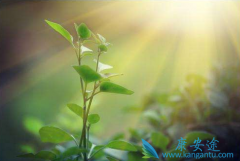 ����ҽ�� �����ֲ������������������ȱ��