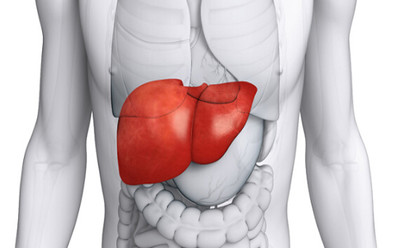 ������°汾�Ҹ�����ָ��