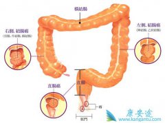 �󳦰�֢״�����Ե�һ���Ǳ�Ѫ