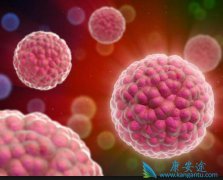 ��֢���Ǿ�֢��һ�����Բ�