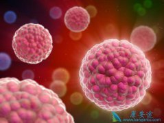 CAR-T�Ʒ����������а�֢�����ƾ���