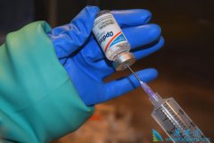 PD-1�������Ƶ�Ч���ȵ���ʹ��Ҫ����