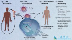 ŵ��ȫ�µĻ����Ʒ�KYMRIAHʲôʱ������׼��