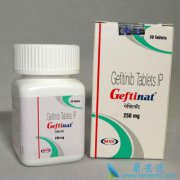ӡ������ɳ��GEFITINIB����ԭ��ҩ���𲻴�